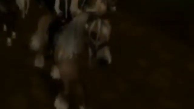 Хэллоуин + парад в честь Хэллоуина смотреть онлайн