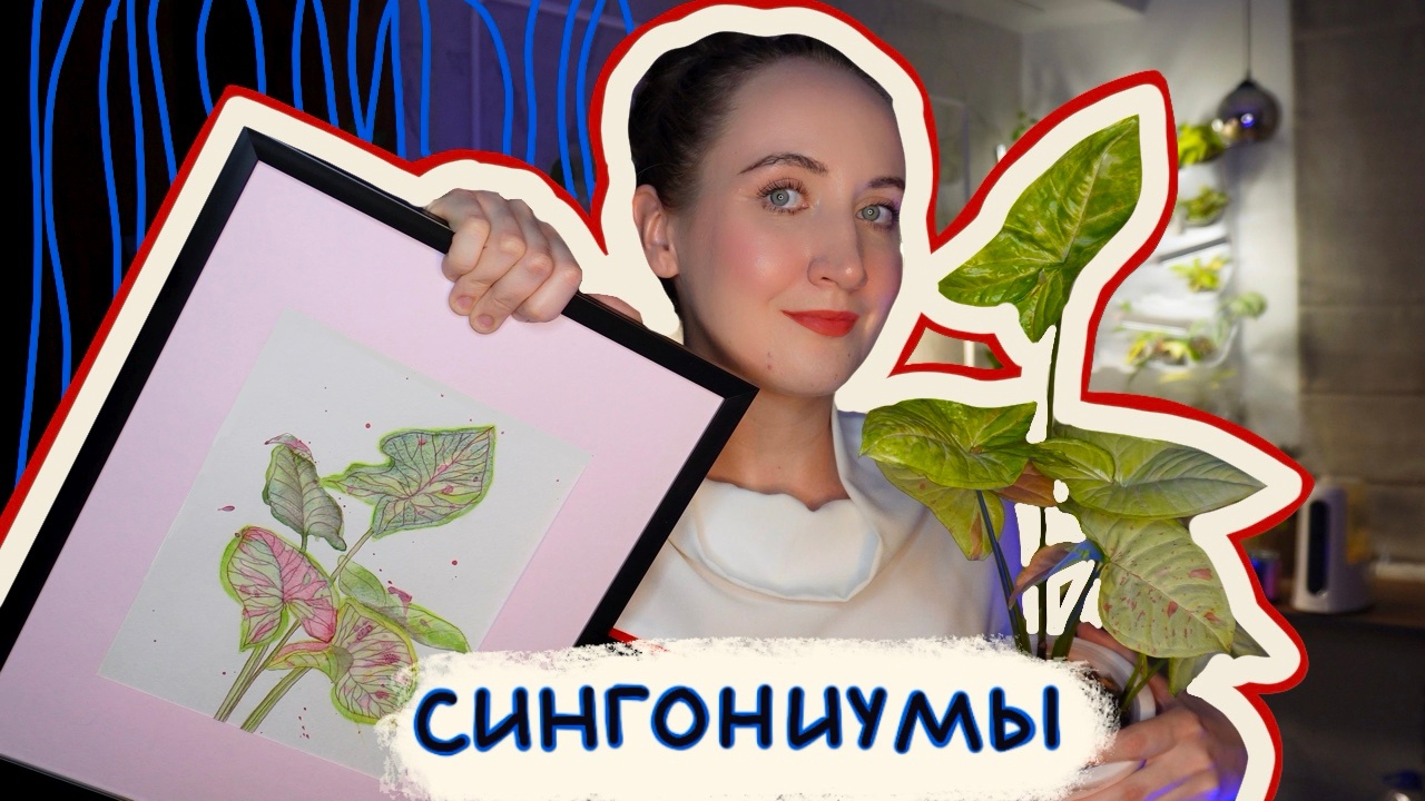 СИНГОНИУМЫ | Рассказываю, показываю, рисую смотреть онлайн