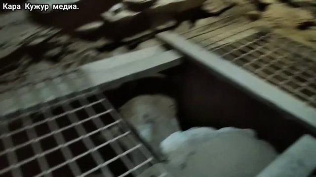 Таш Рабат. Tash Rabat. Kyrgyzstan смотреть онлайн