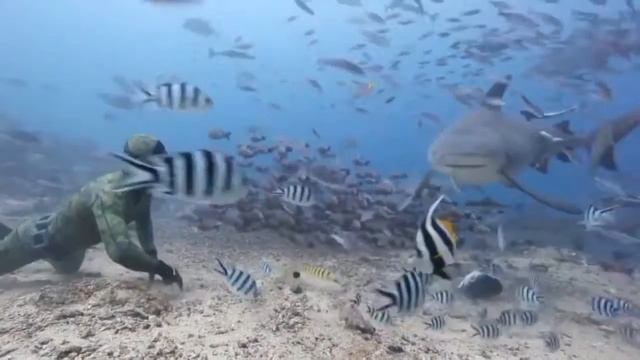 Екатерина Подольская 