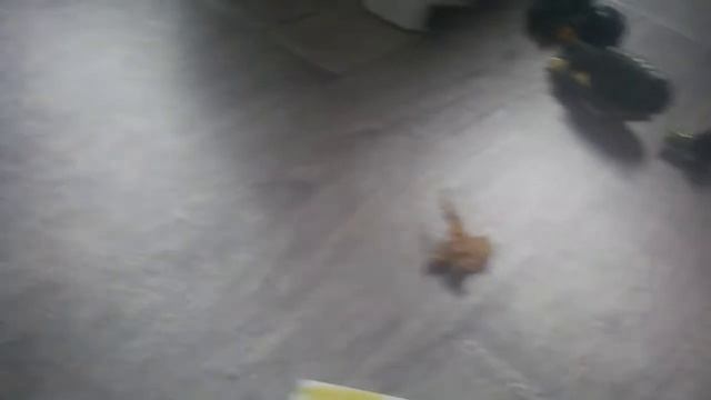 Обзор спорткара из железного конструктора смотреть онлайн