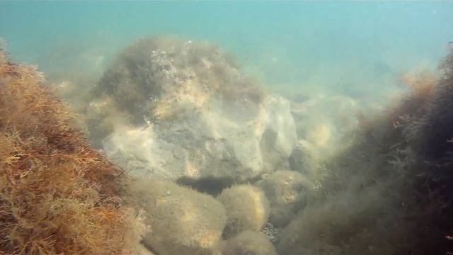 GOPR0. Го-Про с боксом для подводной съёмки. смотреть онлайн