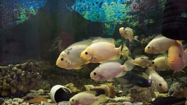 Дети хотели отправить свою родную мать в дом престарелых, но женщина ошарашила их своим заявлением смотреть онлайн