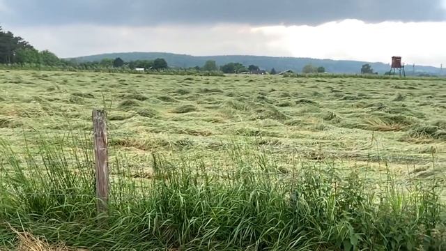 Стих: без Бога смотреть онлайн