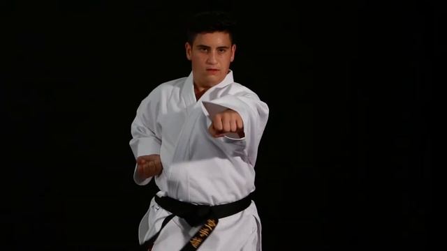 Chikara Gekko Karate Gi смотреть онлайн