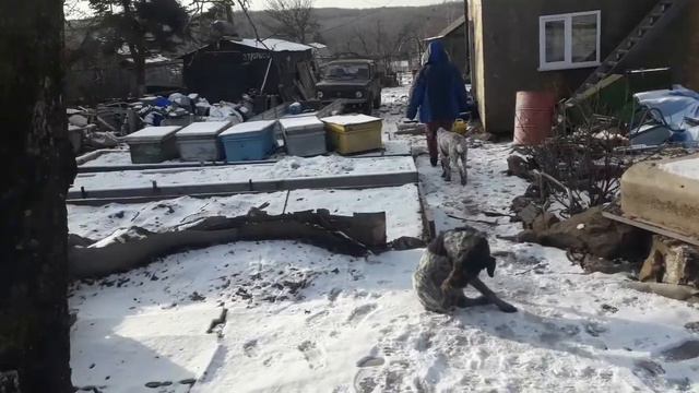 С наступающим Рождеством. смотреть онлайн
