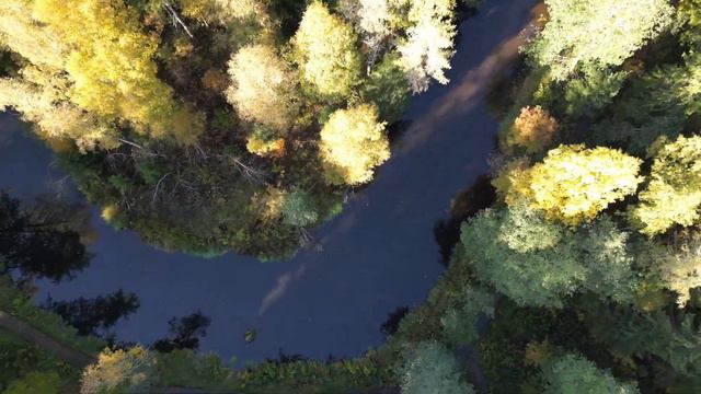 Линдуловская роща смотреть онлайн