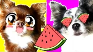 Фото в новом доме, фото с канала Мэджик Фэмэли.