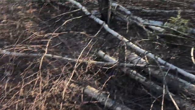 Подготовка к дачному сезону / поездка на дачу в начале апреля / проведали дачу / смотреть онлайн