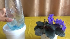 СУПЕР КАПЕЛЬНЫЙ ПОЛИВ ДЛЯ ДОМАШНИХ ЦВЕТОВ  СВОИМИ РУКАМИ