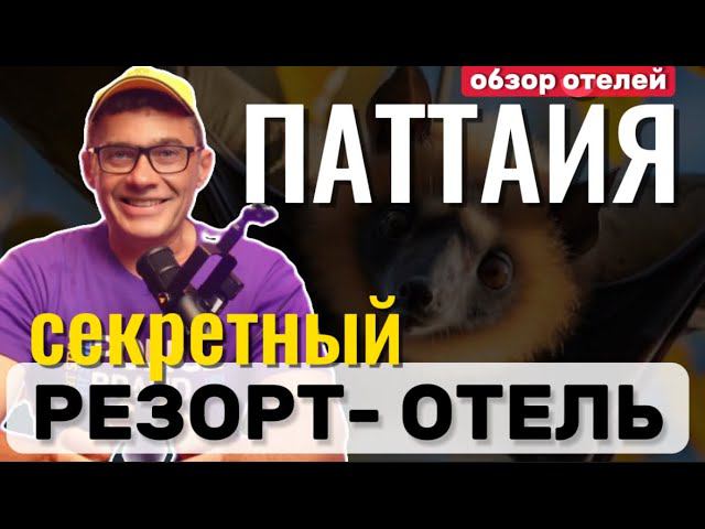 Показываю необычные отели в Паттайе | Резорт с летучими лисицами | Ресторан Караван | Space обзор смотреть онлайн