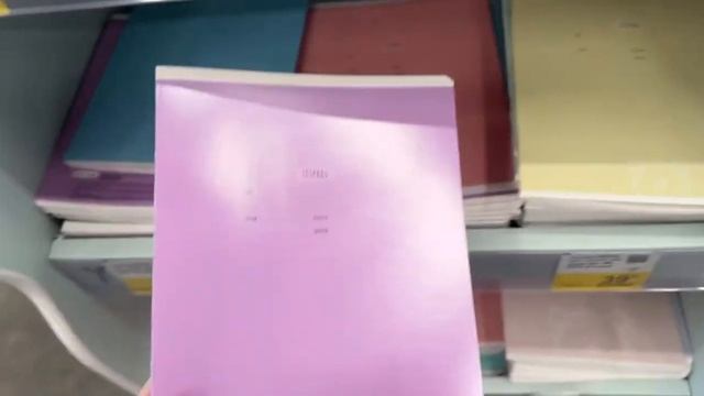 BACK TO SCHOOL 2023/ покупка канцелярии / бюджетная канцелярия смотреть онлайн