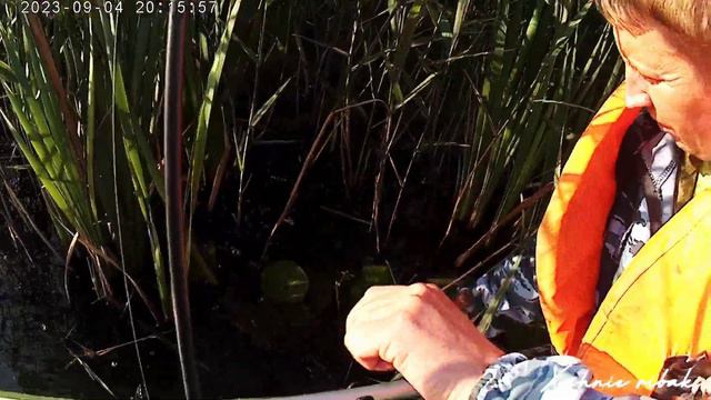 ТОЛЬКО УСПЕЛИ РАССТАВИТЬ КРУЖКИ И СРАЗУ ЩУКА ХВАТАЕТ ЖИВЦА. Рыбалка 2023 смотреть онлайн