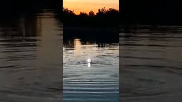 15.07.2020 Дача.Ночь.Кайф смотреть онлайн