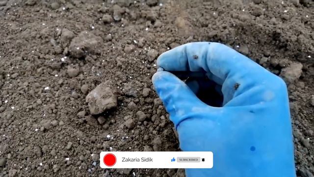 ❗❗❗ RAHASIA TERSEMBUNYI DIBALIK 54% KANDUNGAN PUPUK UREA | VEGETATIF DAN GENERATIF TANAMAN смотреть онлайн