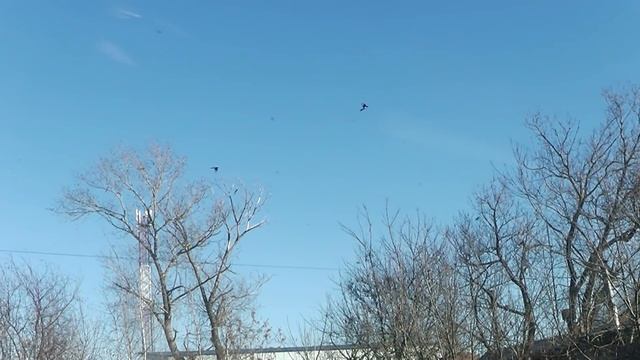 Охота на ворон 2018 смотреть онлайн