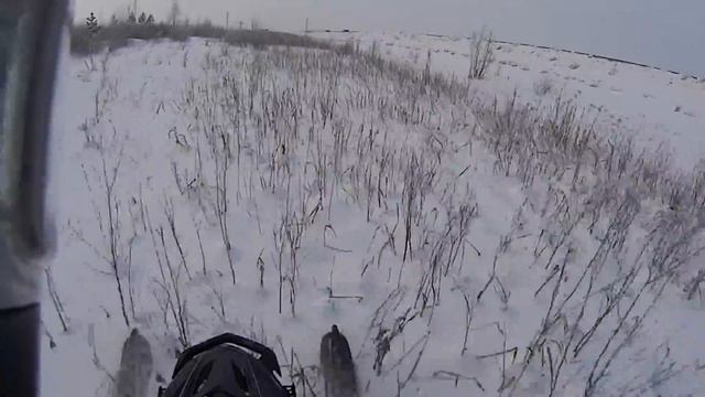 Камыши смотреть онлайн