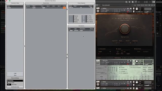 Expression Map For Patches Library
