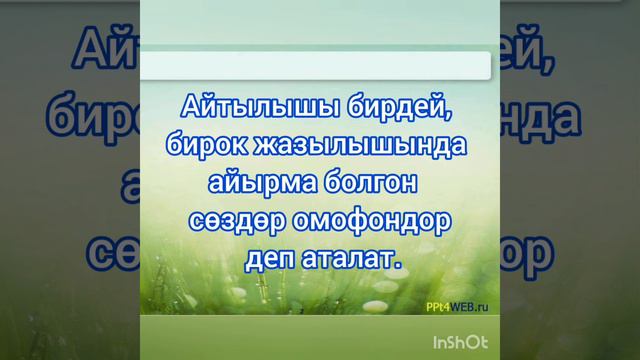 Омонимдин турлору смотреть онлайн