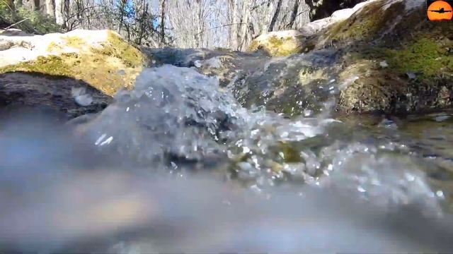 Подводные съёмки в крымской горной реке Кобалар-Су. Летом речка полностью пересыхает. смотреть онлайн