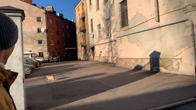 Влог. Жизнь художника 3. Выборг. Россия. Финляндия смотреть онлайн