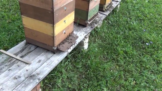 задвижка на леток смотреть онлайн