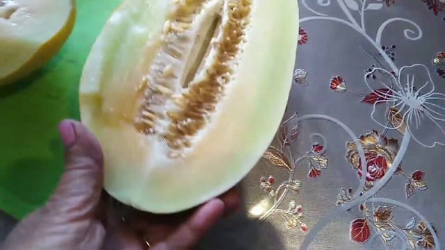 Дыня "Канария", средний Урал. смотреть онлайн