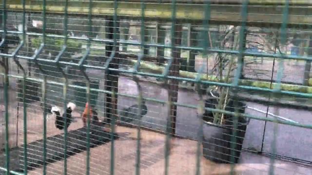 ЛАНГРЕО. ЛА ФЕЛЬГЕРА. САМА. НЕДОРОГАЯ НЕДВИЖИМОСТЬ / 4й ГОРОД В АСТУРИИ / СЕВЕР ИСПАНИИ / АСТУРИЯ смотреть онлайн