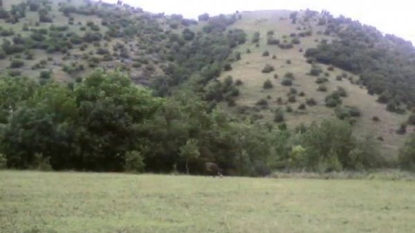 My Azeri Village in Georgia regioni Kvemo-Kartli(Borchali) Bashkecid(Dmanisi)