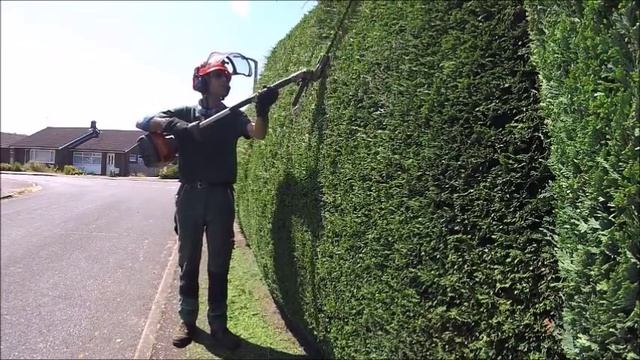 Trimming a Conifer /Leylandii Hedge смотреть онлайн