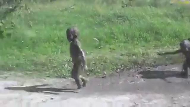 Дети купались в лужи смотреть онлайн