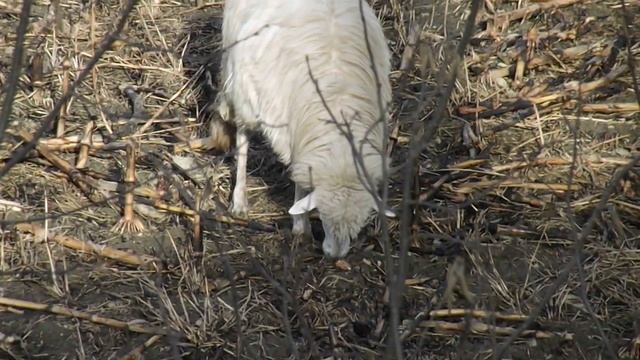 Fujifilm Finepix s2950 test Zoom 18x смотреть онлайн