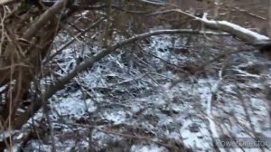 УСТАНОВКА ЖИВОЛОВУШКИ НА КУНИЦУ, ОХОТА НА КУНИЦУ .