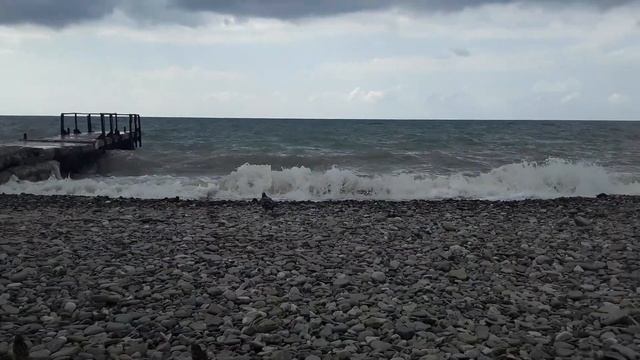 Хоста Отдых. Пляж / Очень наглые Голуби. Кормим из Рук смотреть онлайн