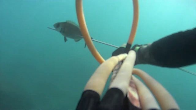 Пневмат-100 или Инвертор арбалет-100 выбор за вами .Морская подводная охота с 27 -29 октября 2021.