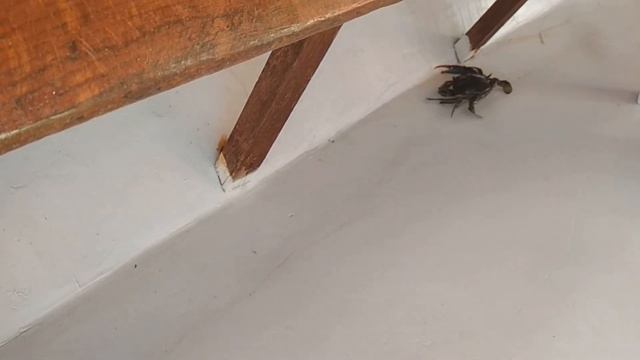 Турция в сентябре .Когда хочется тепла и моря.Мармарис dalyan. смотреть онлайн