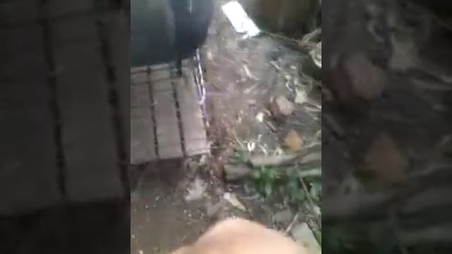 каляска з сидушкой саморобна смотреть онлайн