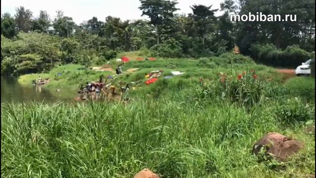 Мобиба. Она и в Африке - Мобиба! смотреть онлайн