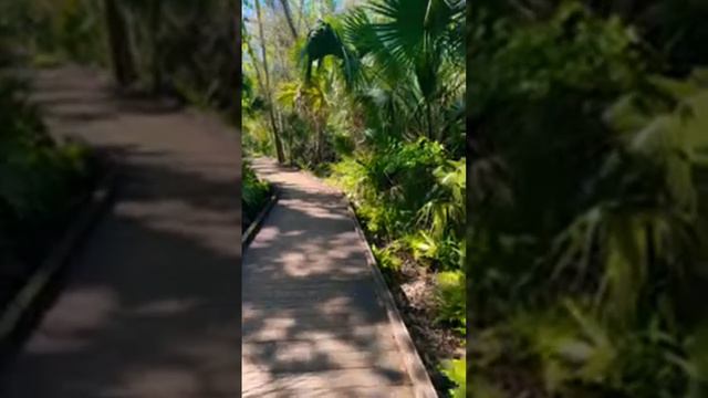 🔴 одна в джунглях 🔴 смотреть онлайн