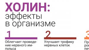Холин | Эффект