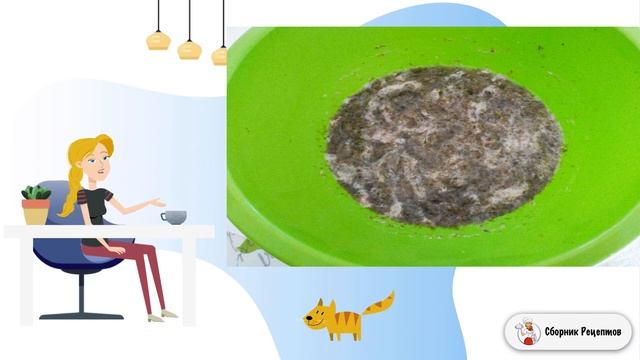 Сборник рецептов