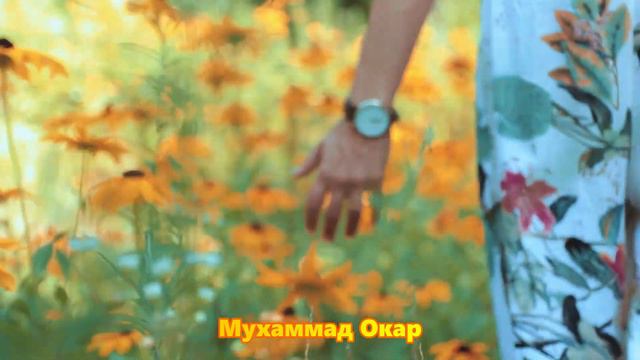 Тайной мудрости Мухаммада Окара: их самые интригующие советы и цитаты! смотреть онлайн