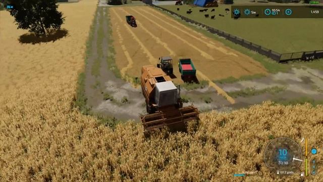 ?Żniwa?MF&Bizon❗Oporowo?Nowa gospa ,,Za miedzą'' [FS22] #1 смотреть онлайн