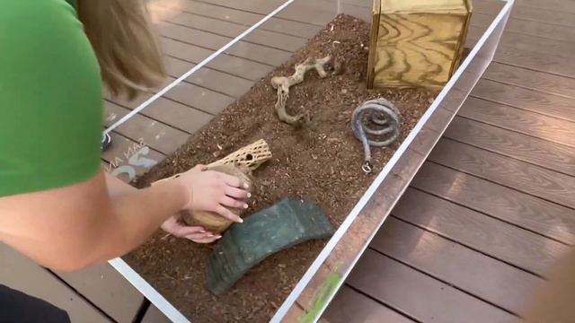 San Antonio Zoo's annual fundraiser Zoo La La takes place on Thursday смотреть онлайн