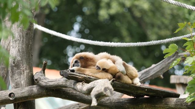 Тянет к тебе, и бороться мне с этим не хочется. смотреть онлайн
