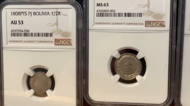 The Citrus County Florida Coin Show ! Can you guess what I got? смотреть онлайн