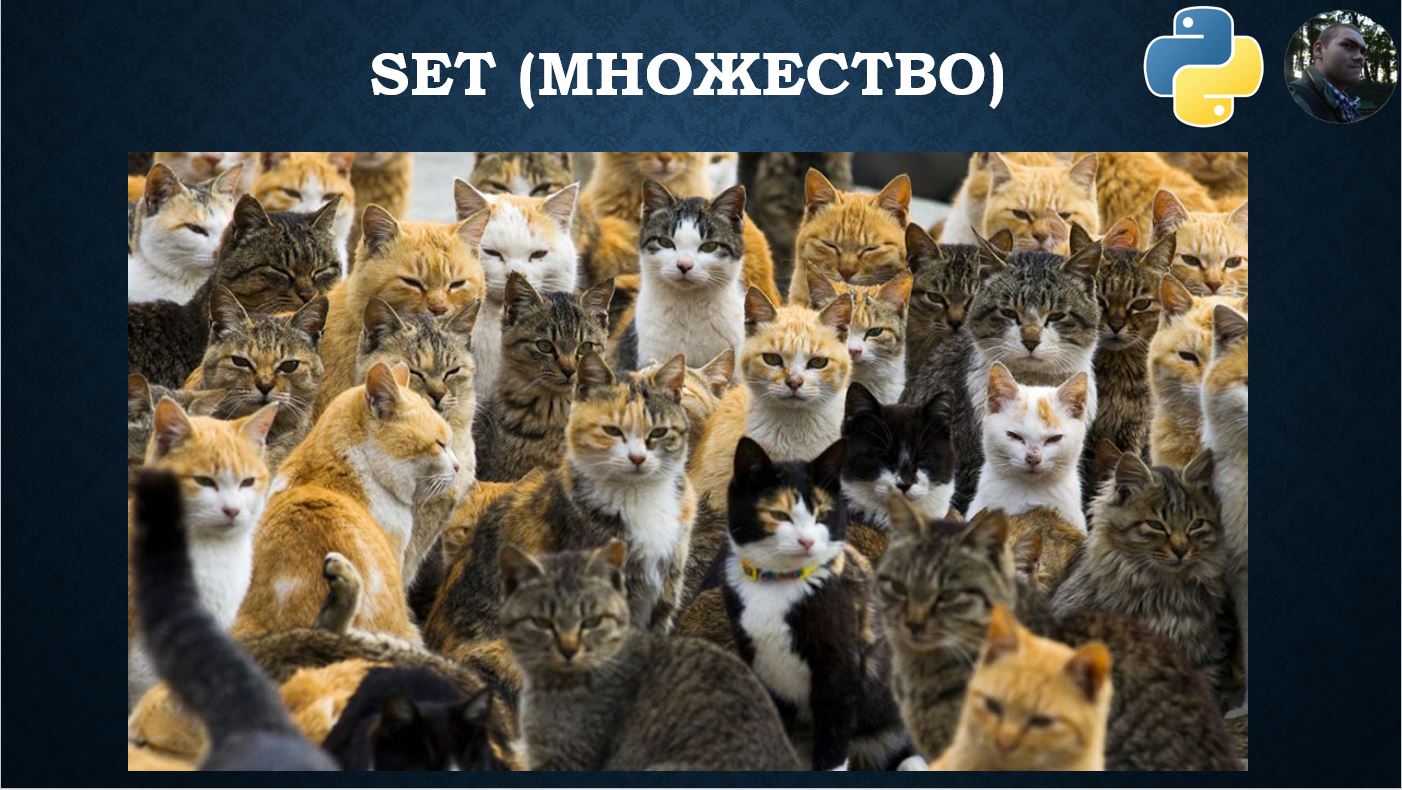 Тип set (множество) в Python смотреть онлайн