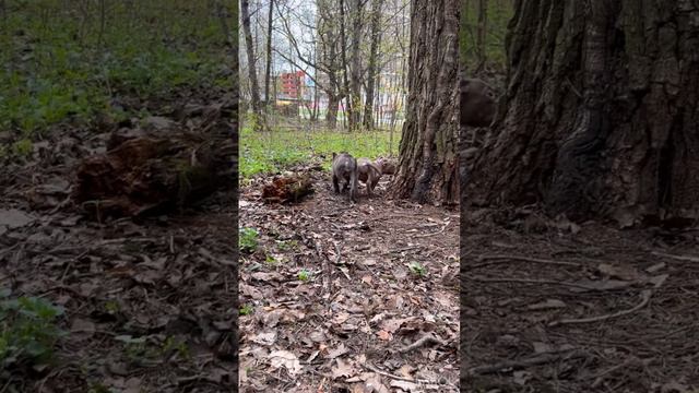 09-05-2024 смотреть онлайн