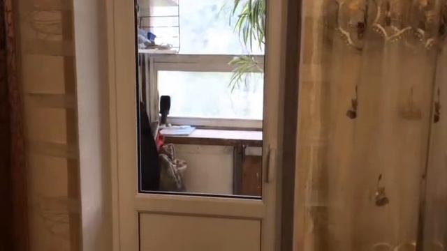 Отзыв о компании Окна от Природы: довольные покупатели из года в год! смотреть онлайн