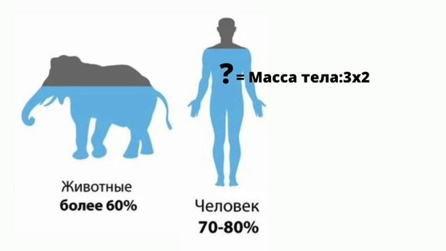 Вода. Урок окружающего мира в 3 классе смотреть онлайн